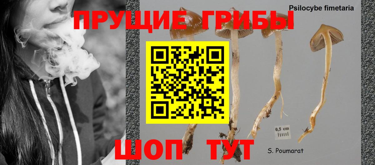 Галлюциногенные грибы мицелий  Вход с VPN  Ухта 